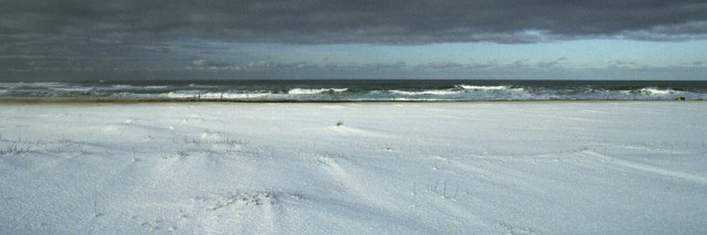 Shoreline in Winter Large Web view.jpg